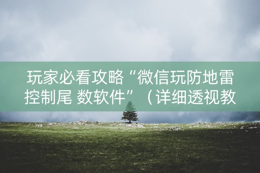 玩家必看攻略“微信玩防地雷控制尾 数软件”（详细透视教程）-哔哩哔哩