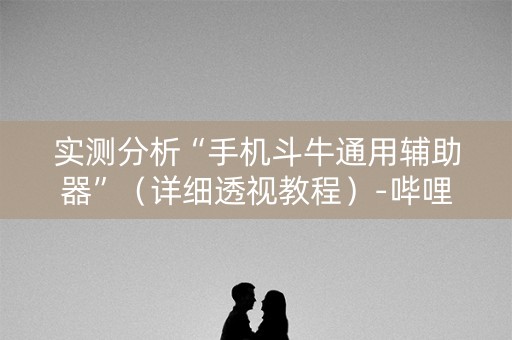 实测分析“手机斗牛通用辅助器”（详细透视教程）-哔哩哔哩