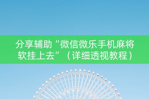 分享辅助“微信微乐手机麻将软挂上去”（详细透视教程）-哔哩哔哩