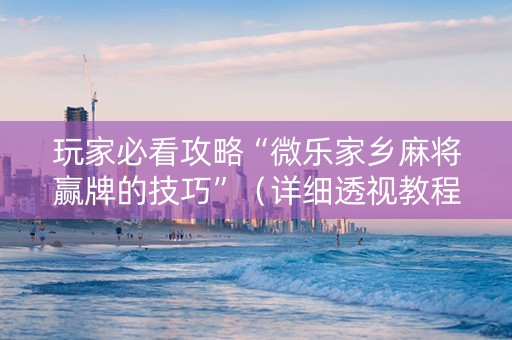 玩家必看攻略“微乐家乡麻将赢牌的技巧”（详细透视教程）-哔哩哔哩