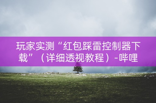 玩家实测“红包踩雷控制器下载”（详细透视教程）-哔哩哔哩