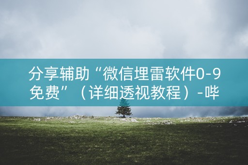 分享辅助“微信埋雷软件0-9免费”（详细透视教程）-哔哩哔哩