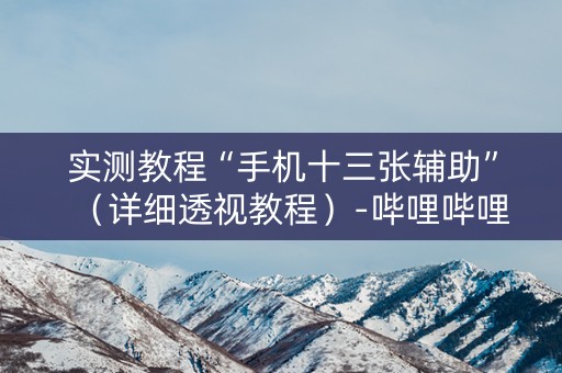 实测教程“手机十三张辅助”（详细透视教程）-哔哩哔哩
