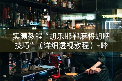 实测教程“胡乐邯郸麻将胡牌技巧”（详细透视教程）-哔哩哔哩