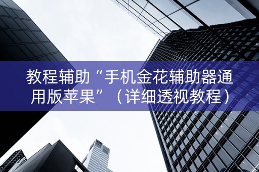 教程辅助“手机金花辅助器通用版苹果”（详细透视教程）-哔哩哔哩