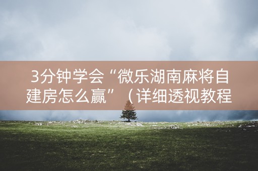 3分钟学会“微乐湖南麻将自建房怎么赢”（详细透视教程）-哔哩哔哩