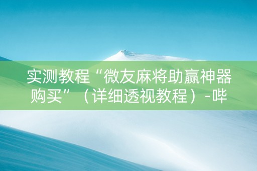 实测教程“微友麻将助赢神器购买”（详细透视教程）-哔哩哔哩