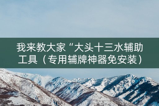 我来教大家“大头十三水辅助工具（专用辅牌神器免安装）