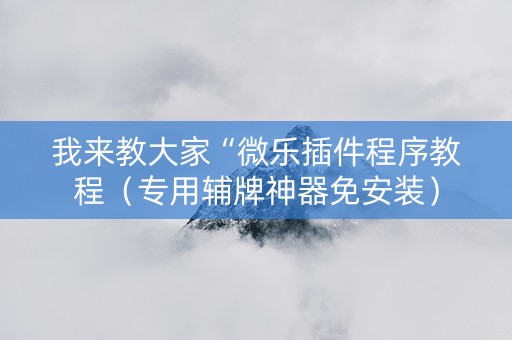 我来教大家“微乐插件程序教程（专用辅牌神器免安装）