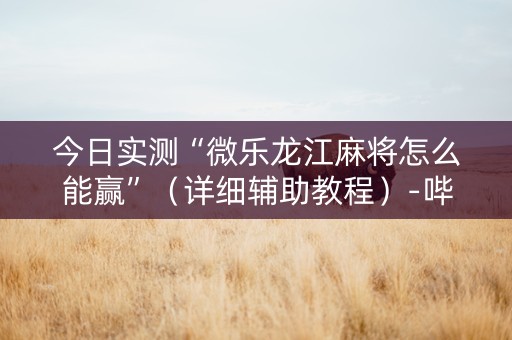 今日实测“微乐龙江麻将怎么能赢”（详细辅助教程）-哔哩哔哩
