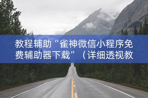 教程辅助“雀神微信小程序免费辅助器下载”（详细透视教程）-哔哩哔哩