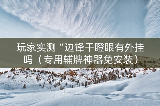 玩家实测“边锋干瞪眼有外挂吗（专用辅牌神器免安装）