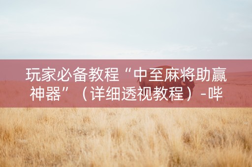 玩家必备教程“中至麻将助赢神器”（详细透视教程）-哔哩哔哩