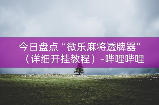 今日盘点“微乐麻将透牌器”（详细开挂教程）-哔哩哔哩