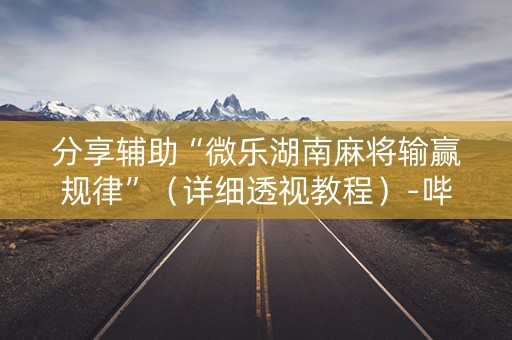 分享辅助“微乐湖南麻将输赢规律”（详细透视教程）-哔哩哔哩