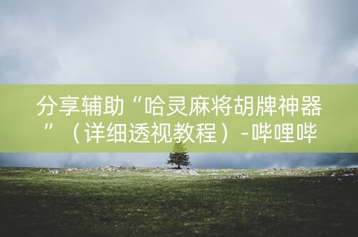 分享辅助“哈灵麻将胡牌神器”（详细透视教程）-哔哩哔哩