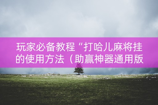 玩家必备教程“打哈儿麻将挂的使用方法（助赢神器通用版）