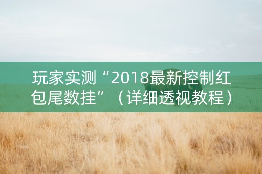 玩家实测“2018最新控制红包尾数挂”（详细透视教程）-哔哩哔哩