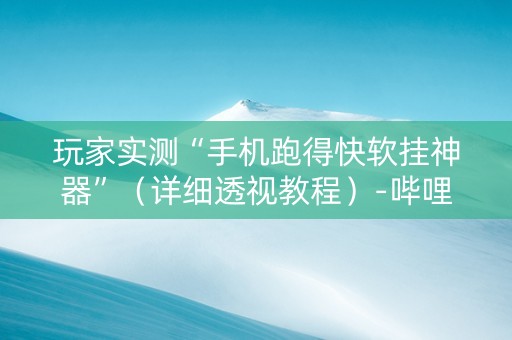 玩家实测“手机跑得快软挂神器”（详细透视教程）-哔哩哔哩