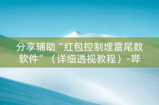 分享辅助“红包控制埋雷尾数软件”（详细透视教程）-哔哩哔哩