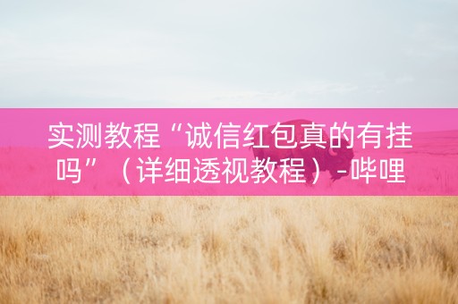 实测教程“诚信红包真的有挂吗”（详细透视教程）-哔哩哔哩