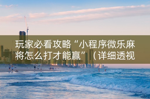 玩家必看攻略“小程序微乐麻将怎么打才能赢”（详细透视教程）-哔哩哔哩
