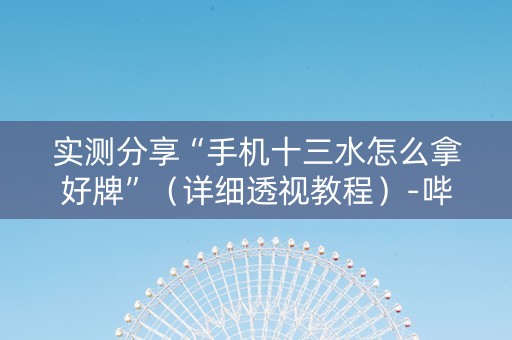 实测分享“手机十三水怎么拿好牌”（详细透视教程）-哔哩哔哩