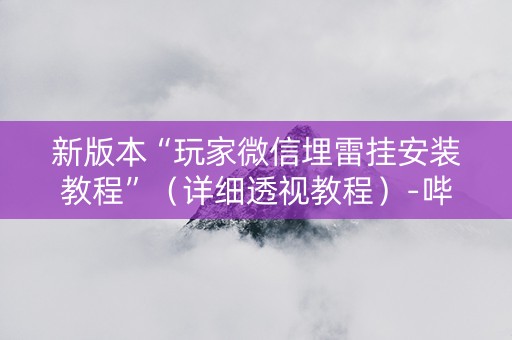 新版本“玩家微信埋雷挂安装教程”（详细透视教程）-哔哩哔哩