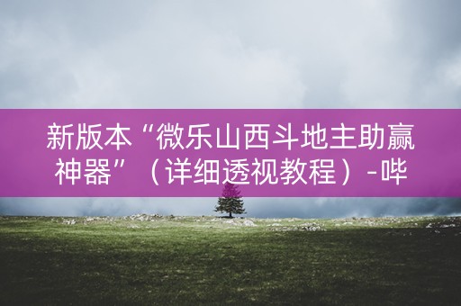 新版本“微乐山西斗地主助赢神器”（详细透视教程）-哔哩哔哩