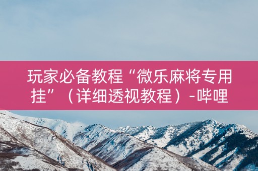 玩家必备教程“微乐麻将专用挂”（详细透视教程）-哔哩哔哩
