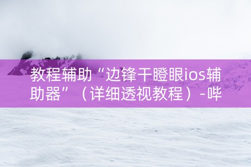 教程辅助“边锋干瞪眼ios辅助器”（详细透视教程）-哔哩哔哩