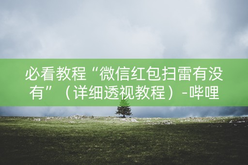 必看教程“微信红包扫雷有没有”（详细透视教程）-哔哩哔哩
