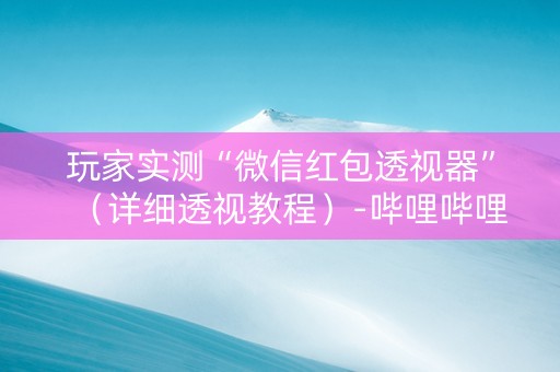 玩家实测“微信红包透视器”（详细透视教程）-哔哩哔哩