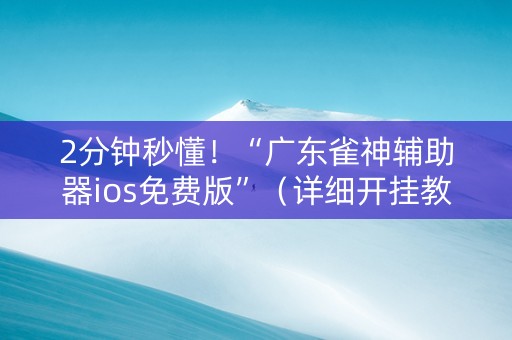 2分钟秒懂！“广东雀神辅助器ios免费版”（详细开挂教程）-哔哩哔哩
