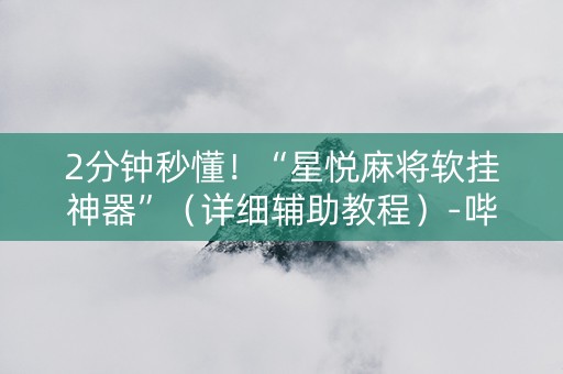 2分钟秒懂！“星悦麻将软挂神器”（详细辅助教程）-哔哩哔哩