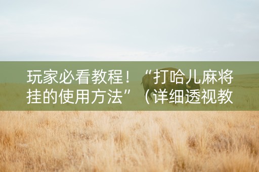 玩家必看教程！“打哈儿麻将挂的使用方法”（详细透视教程）-哔哩哔哩