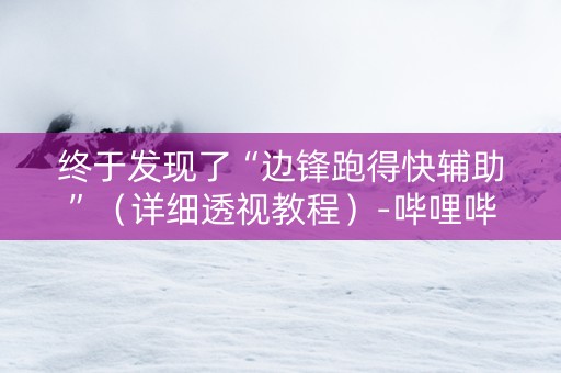 终于发现了“边锋跑得快辅助”（详细透视教程）-哔哩哔哩