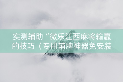 实测辅助“微乐江西麻将输赢的技巧（专用辅牌神器免安装）