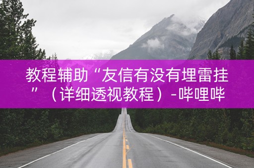 教程辅助“友信有没有埋雷挂”（详细透视教程）-哔哩哔哩