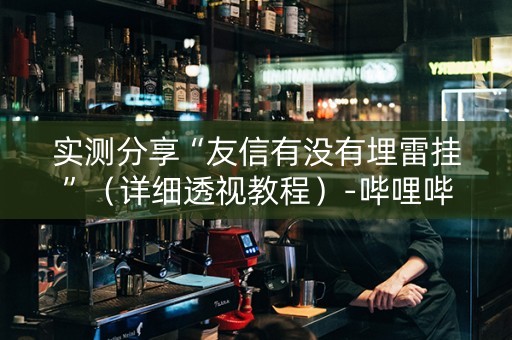 实测分享“友信有没有埋雷挂”（详细透视教程）-哔哩哔哩