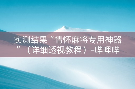实测结果“情怀麻将专用神器”（详细透视教程）-哔哩哔哩