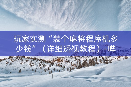玩家实测“装个麻将程序机多少钱”（详细透视教程）-哔哩哔哩