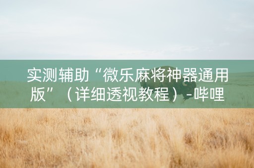 实测辅助“微乐麻将神器通用版”（详细透视教程）-哔哩哔哩