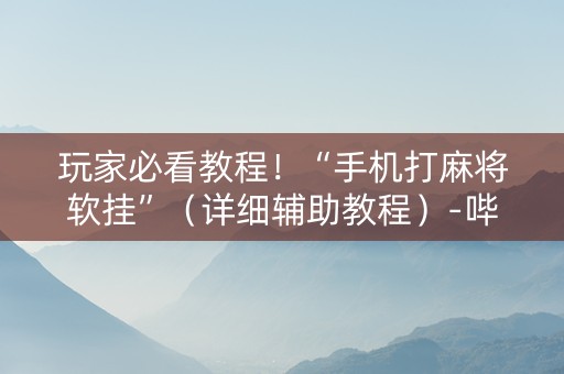 玩家必看教程！“手机打麻将软挂”（详细辅助教程）-哔哩哔哩
