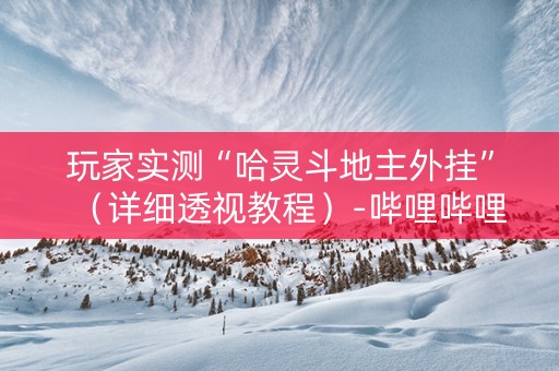 玩家实测“哈灵斗地主外挂”（详细透视教程）-哔哩哔哩