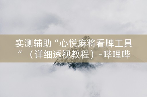 实测辅助“心悦麻将看牌工具”（详细透视教程）-哔哩哔哩