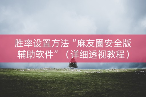 胜率设置方法“麻友圈安全版辅助软件”（详细透视教程）-哔哩哔哩
