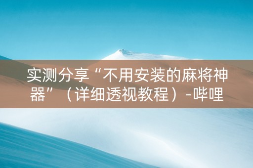 实测分享“不用安装的麻将神器”（详细透视教程）-哔哩哔哩