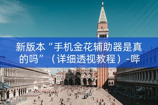 新版本“手机金花辅助器是真的吗”（详细透视教程）-哔哩哔哩