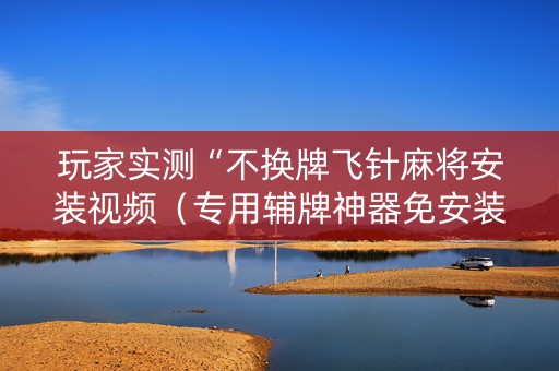 玩家实测“不换牌飞针麻将安装视频（专用辅牌神器免安装）